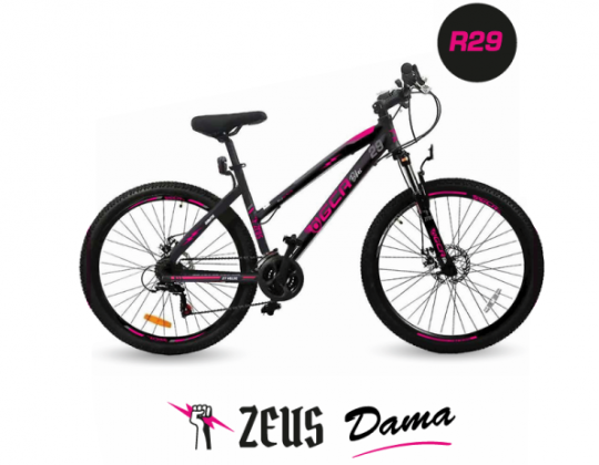 Bicicleta ZEUS Dama Rodado 29